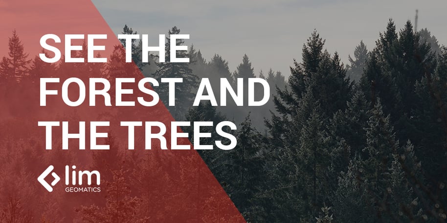 Lim Geomatics Helps You See the Forest from the Trees